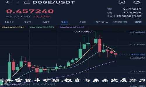  贵州加密货币矿场：投资与未来发展潜力探讨