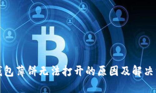 TP钱包薄饼无法打开的原因及解决方案