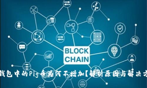 TP钱包中的Pig币为何不增加？解析原因与解决方案
