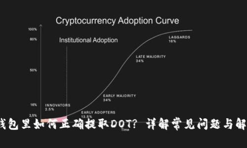 # TP钱包里如何正确提取DOT? 详解常见问题与解决方案