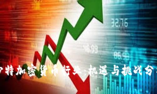 沙特加密货币行业：机遇与挑战分析