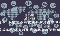 美国 加密货币的发展现状