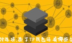 苹果手机的支付选项：除