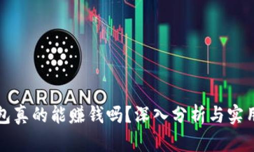 TP钱包真的能赚钱吗？深入分析与实用指南