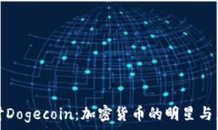  深入探讨Dogecoin：加密货