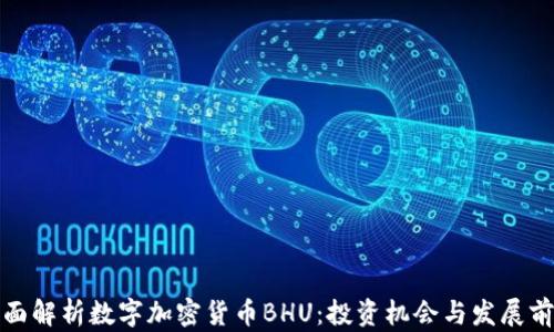 
全面解析数字加密货币BHU：投资机会与发展前景