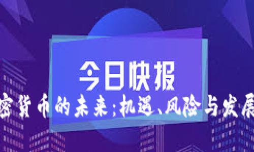 : 加密货币的未来：机遇、风险与发展趋势