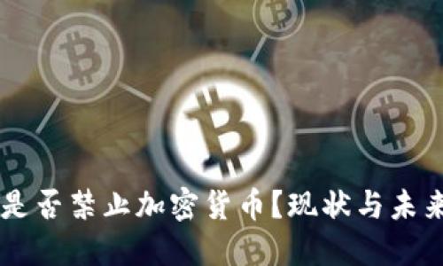 荷兰是否禁止加密货币？现状与未来展望