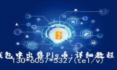 如何在TP钱包中出售Pig币：详细教程与注意事项