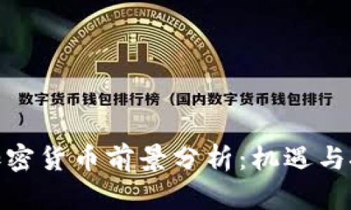 : 伊朗加密货币前景分析：机遇与挑战并存