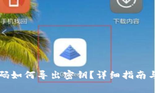 忘记TP钱包密码如何导出密钥？详细指南与常见问题解答