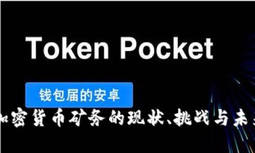 美国加密货币矿务的现状、挑战与未来展望