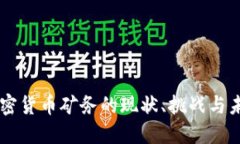美国加密货币矿务的现状