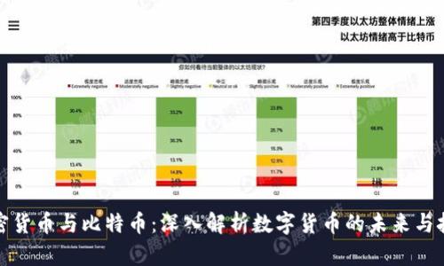 加密货币与比特币：深入解析数字货币的未来与挑战