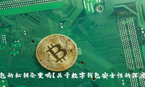 TP钱包的私钥会变吗？关于数字钱包安全性的深度探讨