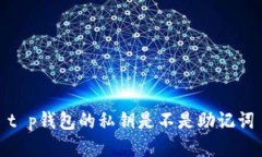 t p钱包的私钥是不是助记