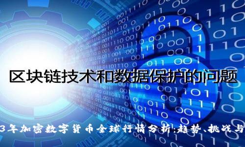 2023年加密数字货币全球行情分析：趋势、挑战与机会