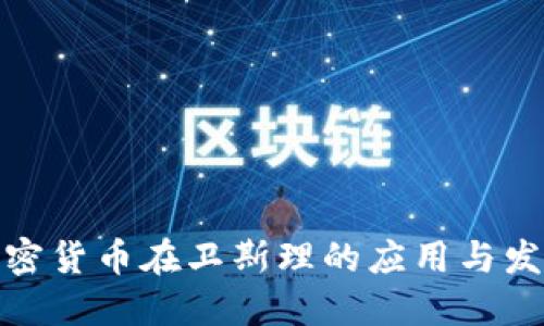 加密货币在卫斯理的应用与发展