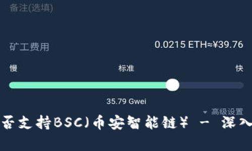 TP桌面版钱包是否支持BSC（币安智能链） - 深入解析及使用指南