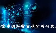 2025必看：揭密中国加密货