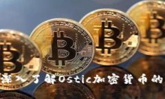 2025必看：深入了解Ostic加