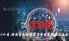 2025必看：海南省加密数字