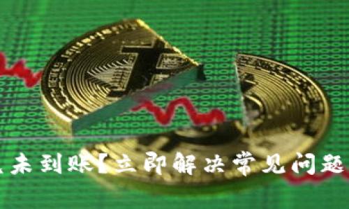 TP钱包闪兑未到账？立即解决常见问题的完整指南