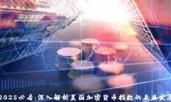 2025必看：深入解析美国加