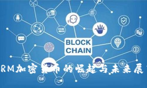 2025必看：DRM加密货币的崛起与未来展望，立即了解！