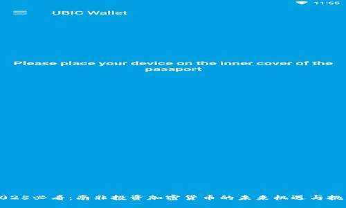 2025必看：南非投资加密货币的未来机遇与挑战