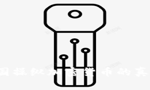 立即了解：解析美国操纵加密货币的真实案例与背后真相
