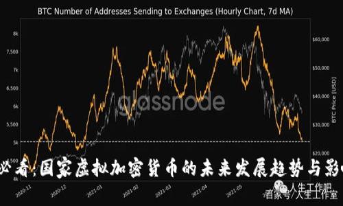 2025必看：国家虚拟加密货币的未来发展趋势与影响分析