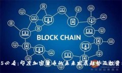 2025必看：印度加密货币的未来发展趋势及投资机