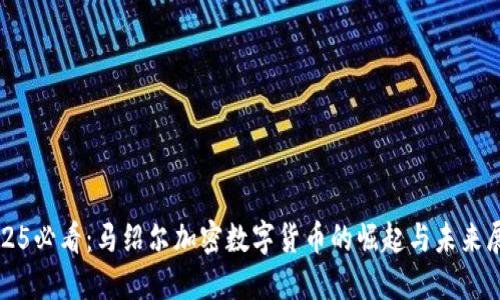 2025必看：马绍尔加密数字货币的崛起与未来展望