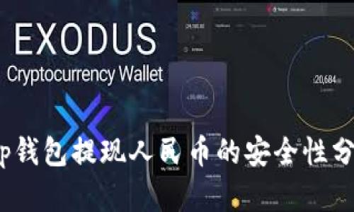 2025必看：t p钱包提现人民币的安全性分析与操作指南