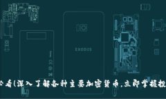 2025必看！深入了解各种主要加密货币，立即掌握