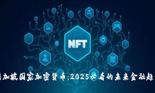 新加坡国家加密货币：2025必看的未来金融趋势