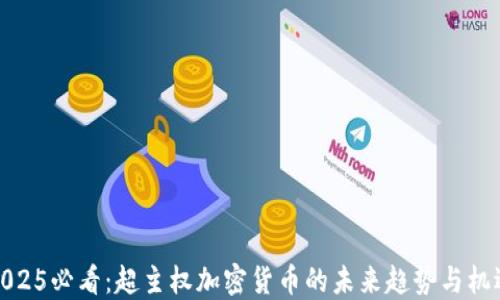 
2025必看：超主权加密货币的未来趋势与机遇