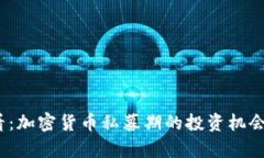 : 2025必看：加密货币私募期的投资机会与风险分