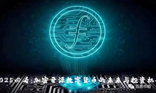 2025必看：加密开源数字货币的未来与投资机会