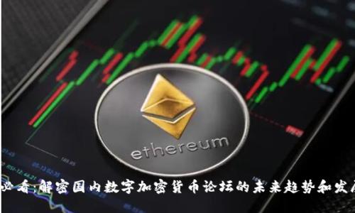 2025必看：解密国内数字加密货币论坛的未来趋势和发展方向