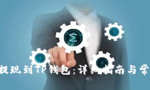 如何将BTC提现到TP钱包：详细指南与常见问题解答