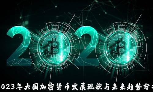 
2023年大国加密货币发展现状与未来趋势分析