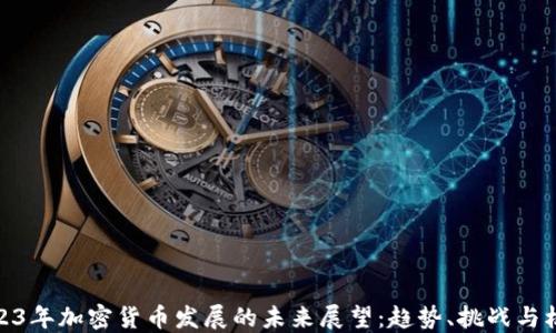 
2023年加密货币发展的未来展望：趋势、挑战与机遇