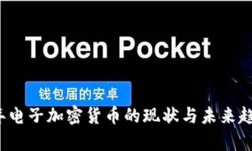 2023年电子加密货币的现状与未来趋势分析