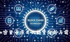 中国加密货币项目的数量分析与前景展望