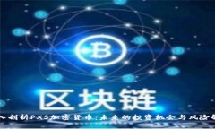深入剖析PXS加密货币：未来的投资机会与风险解